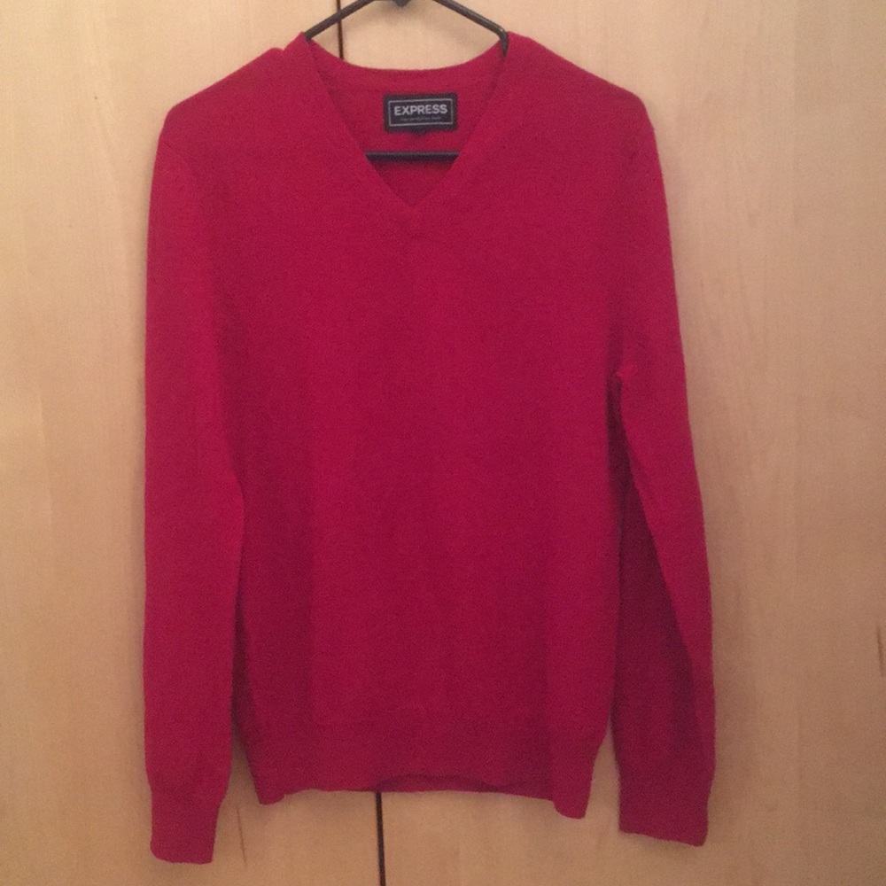 Express Italian Merino wool v neck sweater